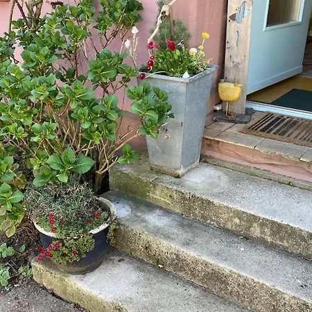 Blaue Haus - Jetzt Mit Sauna * Pirmasens