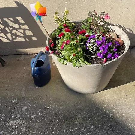 Blaue Haus - Jetzt Mit Sauna Vakantiehuis *