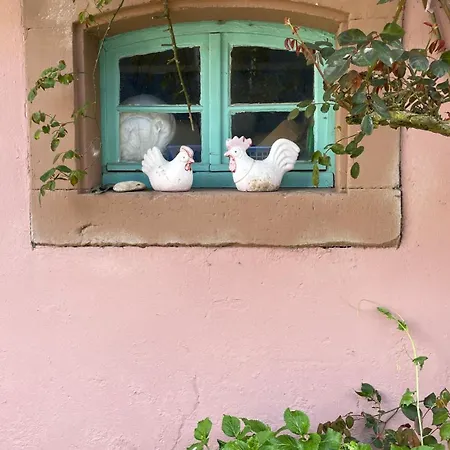 Сasa de vacaciones Blaue Haus - Jetzt Mit Sauna Pirmasens