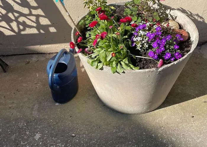 Blaue Haus - Jetzt Mit Sauna Prázdninový dům *